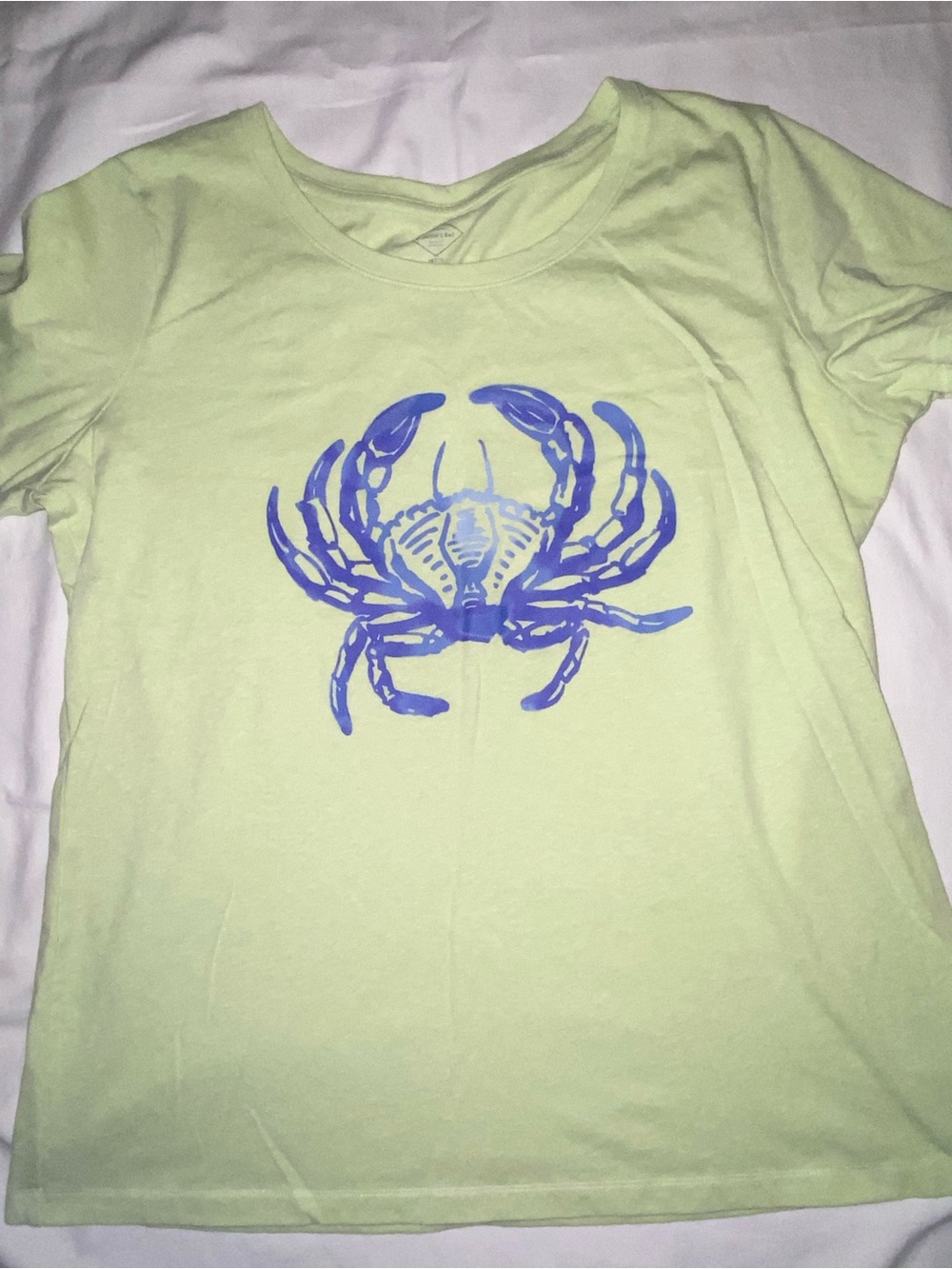 St. John's Bay Petite Tee in Sage Green with Navy Print